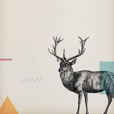 Geometric Animal Backgrounds and Frames 