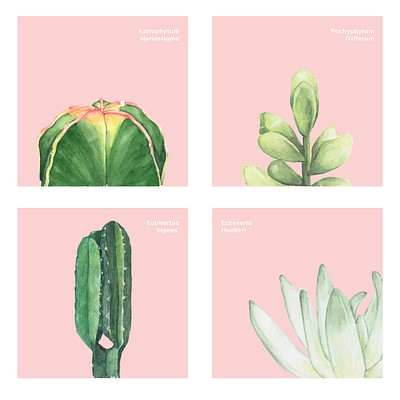 Watercolor Cactus & Animals Set Hand drawn watercolor desert cactus with blooming flowers, succulents, and various other…