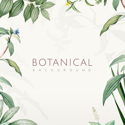 Botanical Design Elements 