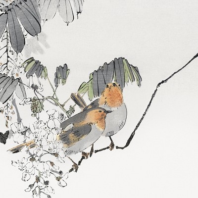 Seitei Kacho Gafu Enjoy oriental nature through our own antique woodblock print collection by Japanese artist Watanabe…
