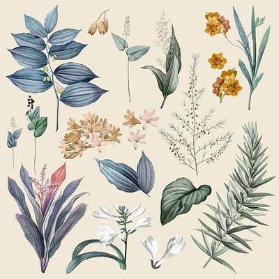 Mixed Botanical And Floral Design Set 