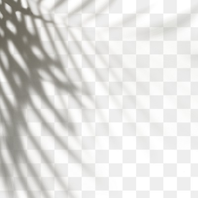 Download Transparent Png Background Full Hd 1080P Images